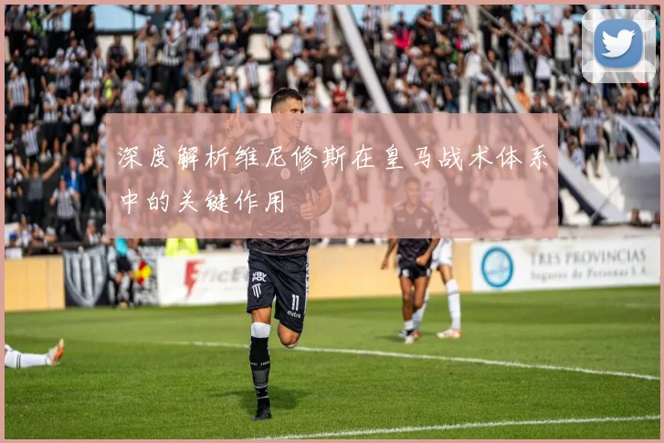深度解析维尼修斯在皇马战术体系中的关键作用
